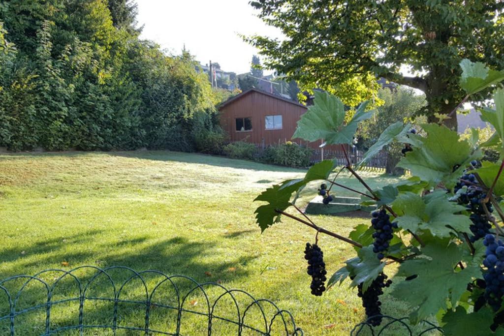 Brachbuhl Marie Huus Apartamento Rohrbach Exterior foto